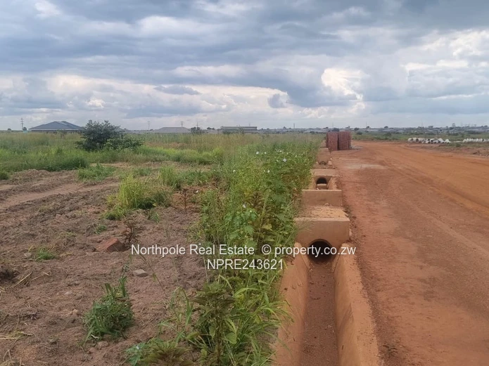 Nyabira Penrose Stand For Sale