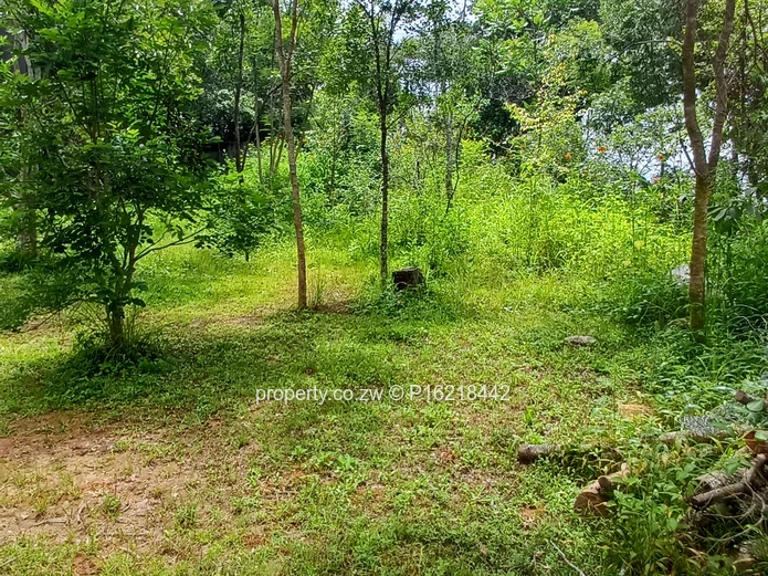 5400m^2 vancant piece of land (Sole Mandate)