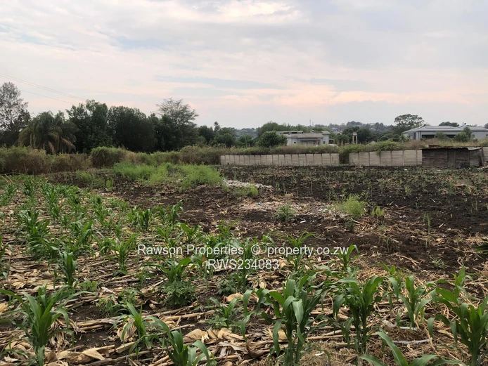 Excellent Opportunity 