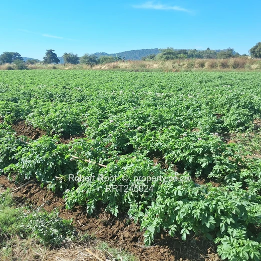 Agro residential stand (Sole Mandate)