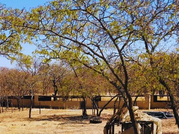 Farm & Agricultural Land