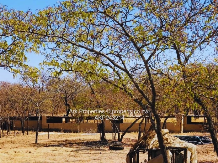 Farm For Sale In Ngezi