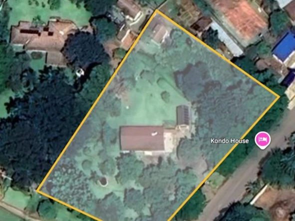 Shop & Retail Property