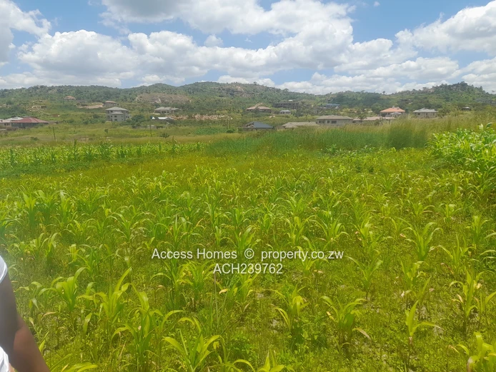 Crowhill Views  (Sole Mandate)