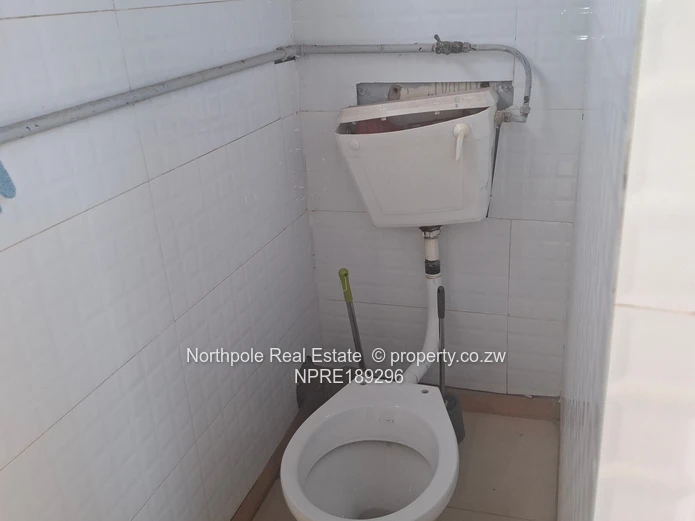 For The Young And Single