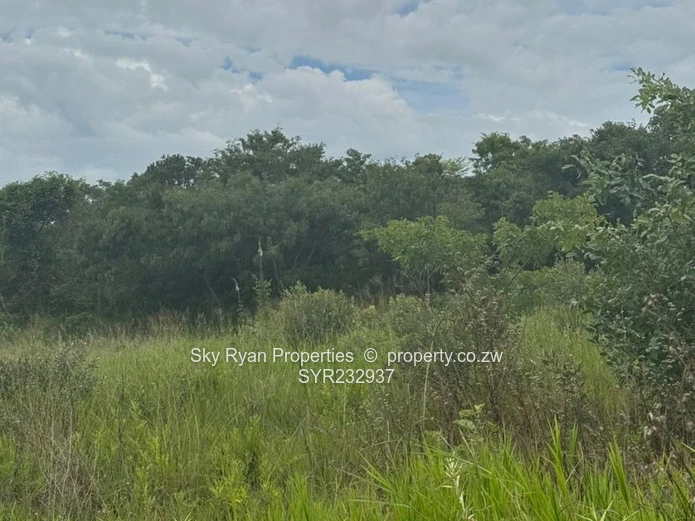 Ruwa Virgin Land For Sale