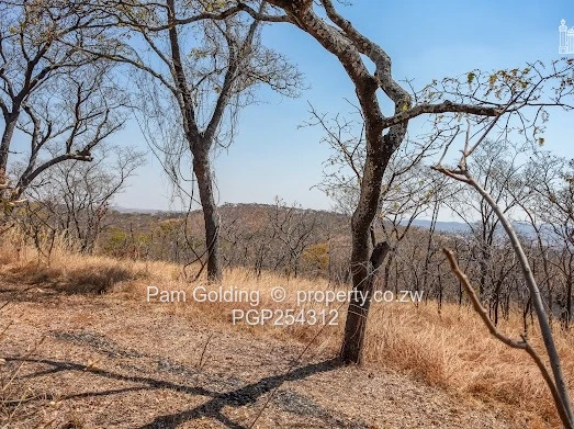 Rare 100 Acre Plot in the Path of Harare's Urban Expansion (Sole Mandate)