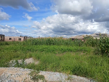 Stands & Residential Land