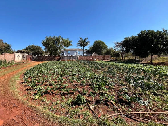 Stands & Residential Land
