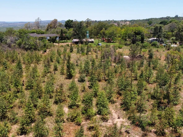 Farm & Agricultural Land