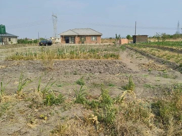 Prime 2300 m² Plot for Sale in Norton, Mashonaland West