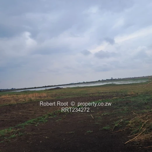 Close to Kirkman Drive (Sole Mandate)