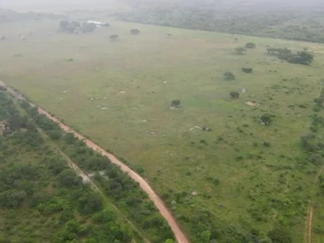 Farm & Agricultural Land