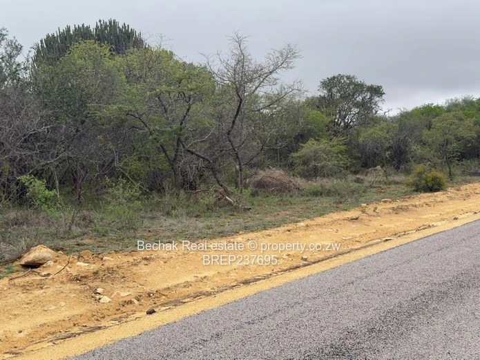 1ha Arable Plot on Tarred Main Road — Bulawayo East