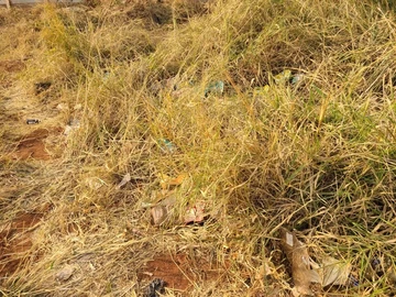 Residential Land for Sale in KweKwe, Midlands Province