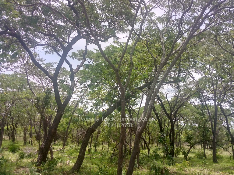 Farms & Agricultural Land for Sale in Redcliff Agroresidential plots