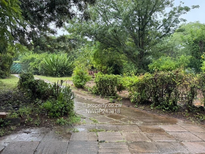 Prime Investment Opportunity in Hillside South – Spacious 3-Bedroom Home on 3,600sqm with Renovation