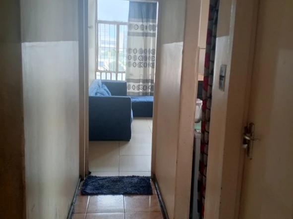 Flat & Apartment