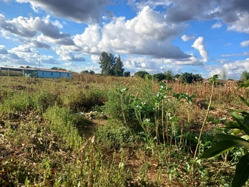 Commercial & Industrial Land