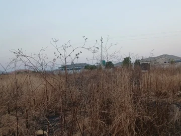 Commercial & Industrial Land