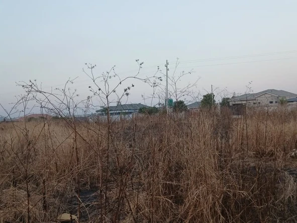 Commercial & Industrial Land