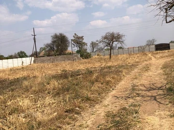 Farm & Agricultural Land