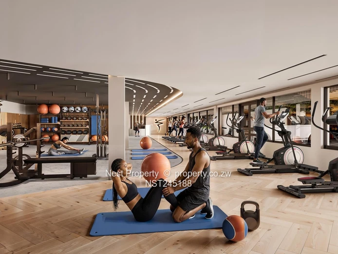 The Connaught - luxury living in Avondale!