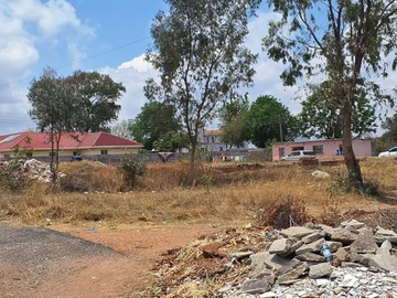 Stands & Residential Land