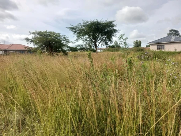 Stands & Residential Land