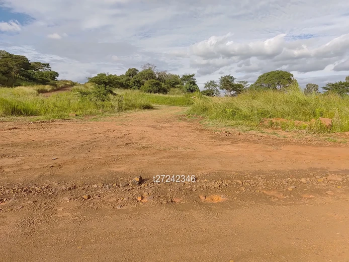 Prime Residential Stands for Sale!