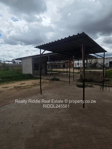 Investment Opportunity 