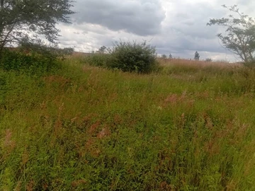 Commercial & Industrial Land