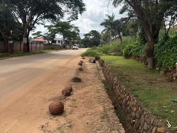 Stands & Residential Land