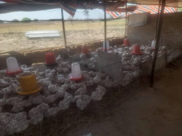 Farm & Agricultural Land