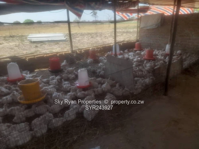 Beatrice Farm For Sale 