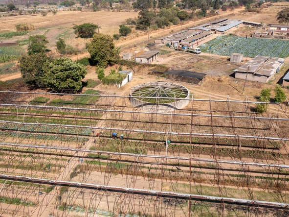 Stands & Residential Land