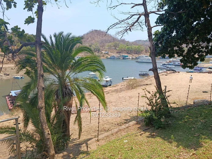 Harbour - Lake Safari