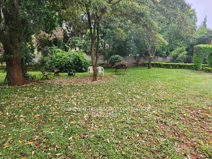 For Sale: Prime Family Home in Mt Pleasant