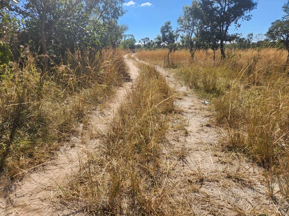Farm & Agricultural Land