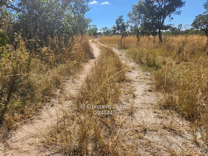 Darwendale Farm - 400 hectares 