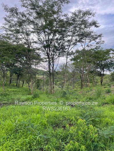 Prime Corner Stand for Sale 