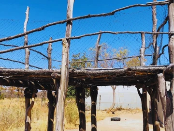 Farm & Agricultural Land