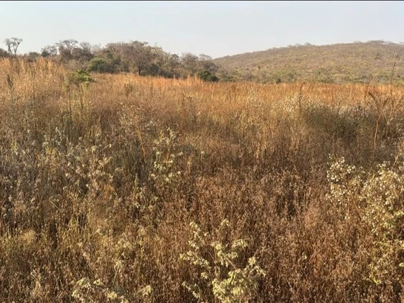 Commercial & Industrial Land