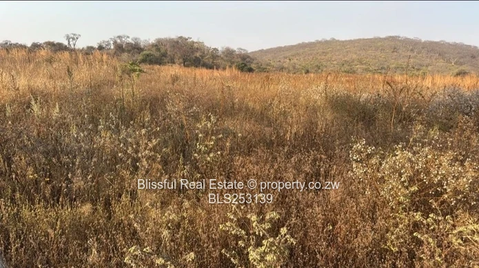4ha Chinhoyi land for sale
