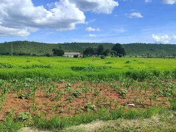 Farm & Agricultural Land