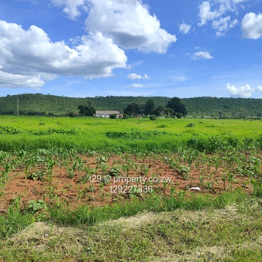 Kintyre estate plots for sale (Sole Mandate)