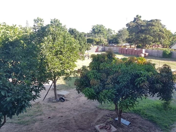 3 Bedroom Garden Flat