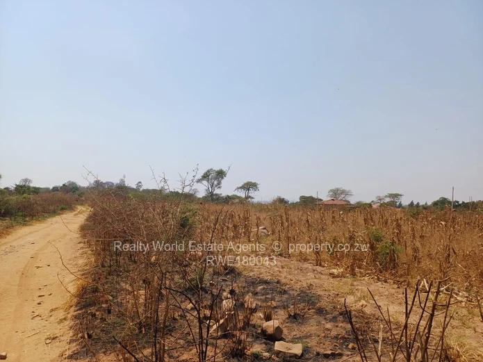 Rydale Ridge Stand For Sale 