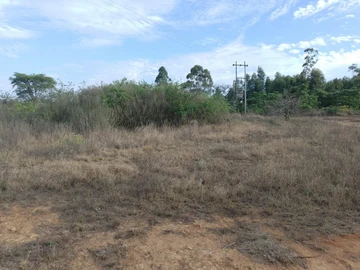 Farm & Agricultural Land