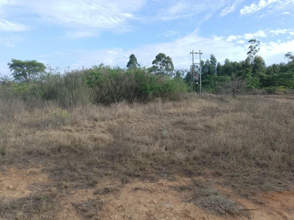 Farm & Agricultural Land